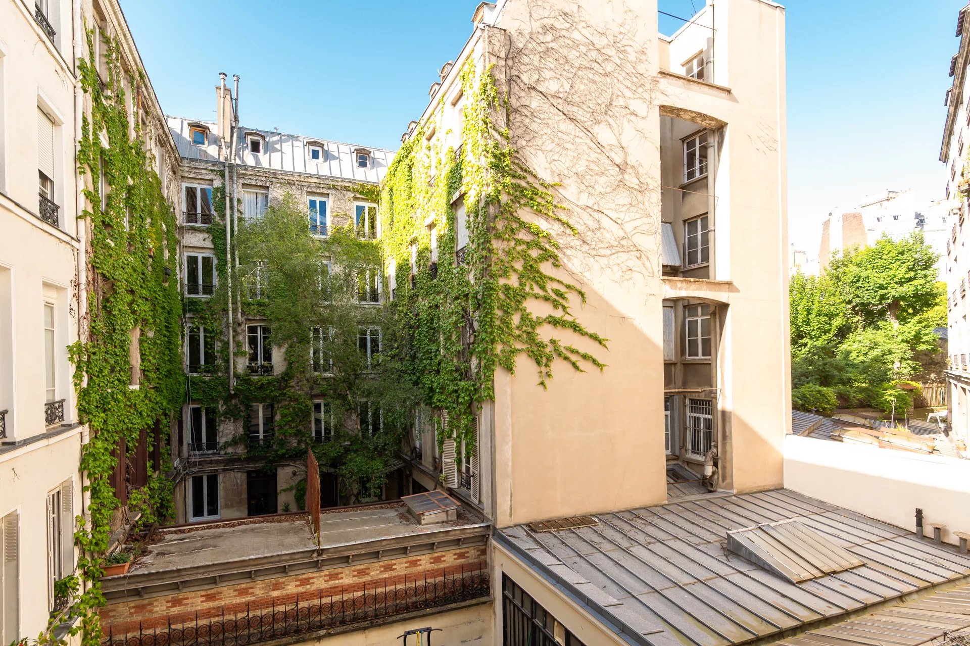 Vue sur cour végétalisée